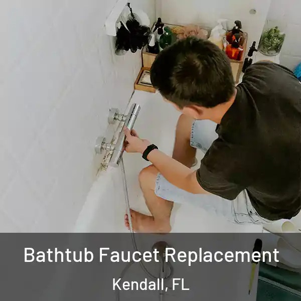  Bathtub Faucet Replacement Kendall, FL