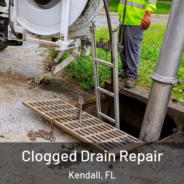  Clogged Drain Repair Kendall, FL