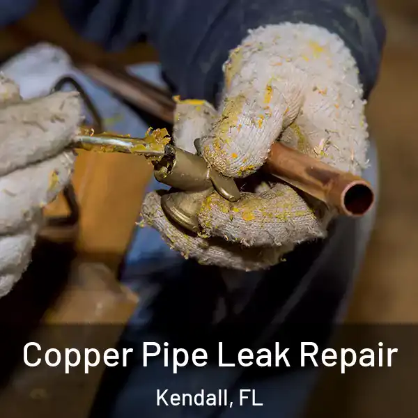  Copper Pipe Leak Repair Kendall, FL