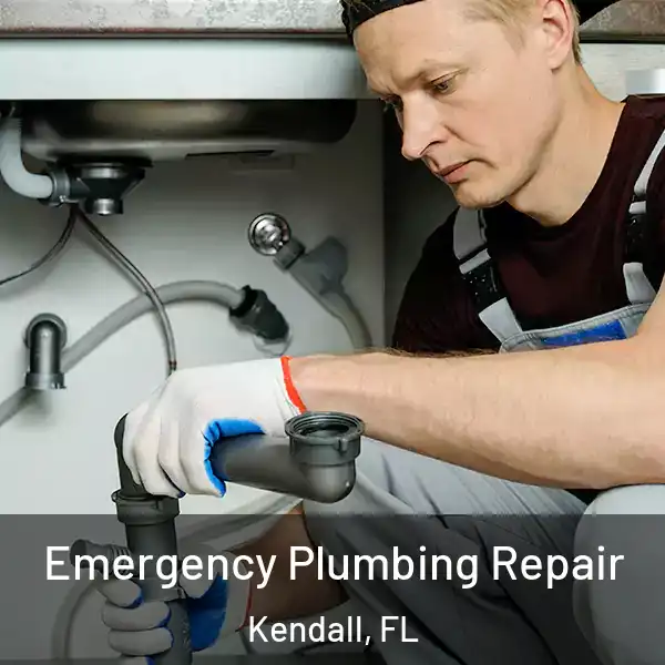  Emergency Plumbing Repair Kendall, FL