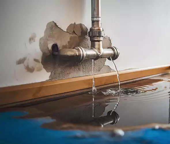 Professional Water Damage Restoration Experts in Kendall, FL — Fast, Reliable & Certified