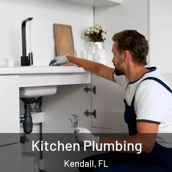  Kitchen Plumbing Kendall, FL