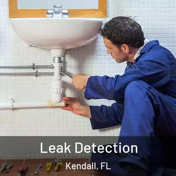  Leak Detection Kendall, FL