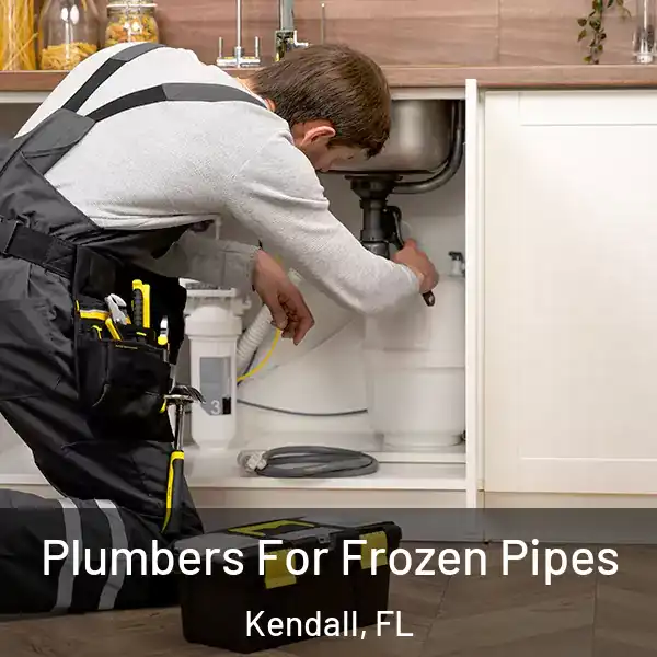  Plumbers For Frozen Pipes Kendall, FL