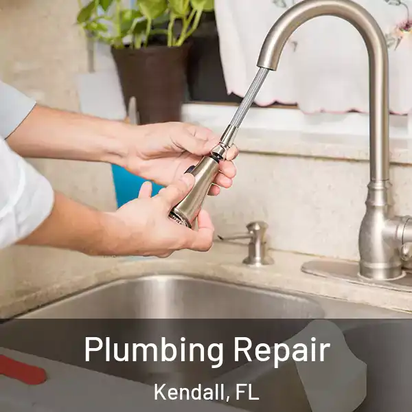  Plumbing Repair Kendall, FL