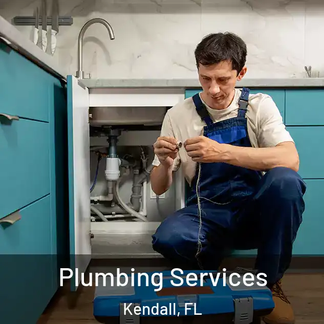  Plumbing Services Kendall, FL