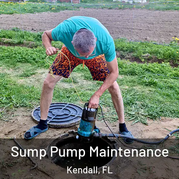  Sump Pump Maintenance Kendall, FL
