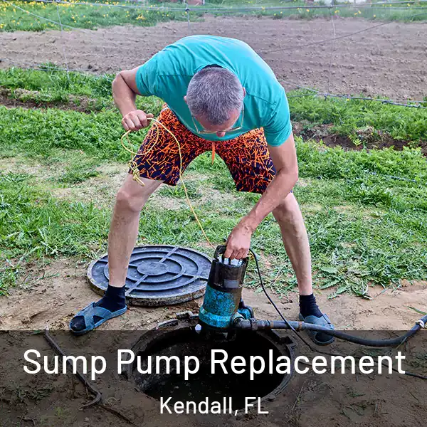  Sump Pump Replacement Kendall, FL