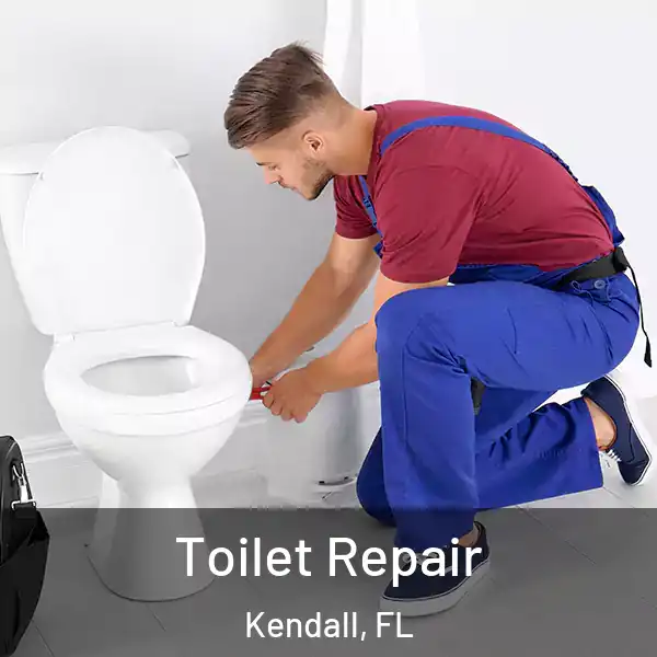  Toilet Repair Kendall, FL
