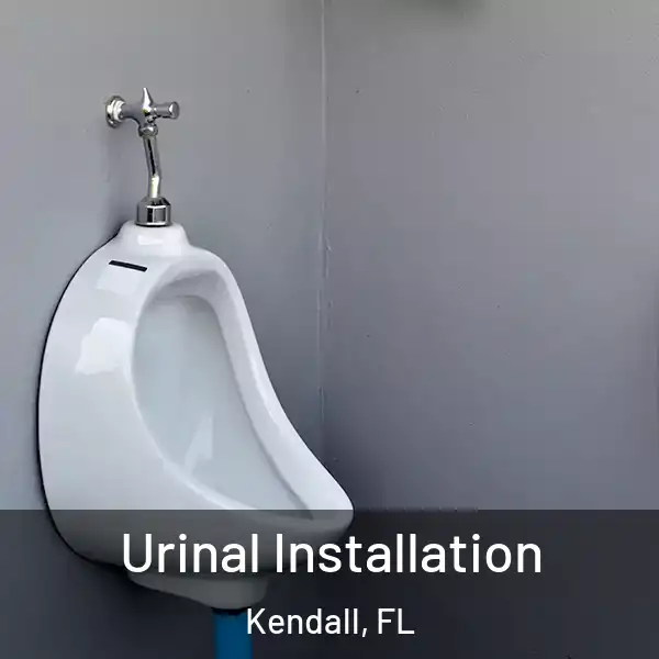  Urinal Installation Kendall, FL