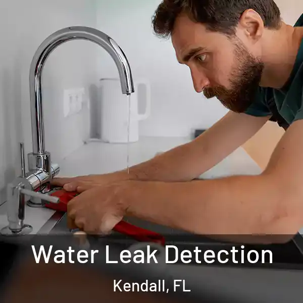  Water Leak Detection Kendall, FL